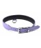 COLLAR BDSM 04 CASUAL