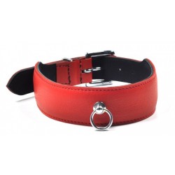 COLLAR CUERO ROJO