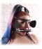 ARNES CABEZA PONY PLAY 