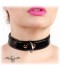 COLLAR PVC