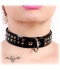 COLLAR PVC HARD