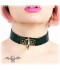 COLLAR GLAM 02