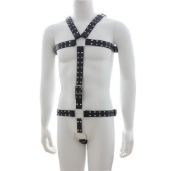 ARNES HOMBRE CON COCK RING