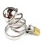 CASTIDAD DE ANILLOS
