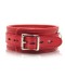 COLLAR ALLRED