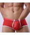SHORT TRASLUCIDO