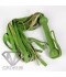 SOFT GREEN FLOGGER