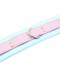 BLUE & PINK COLLAR