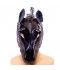 CAPUCHA DE CABALLO ¡