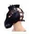 CAPUCHA DE CABALLO ¡