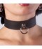 COLLAR GLAM 02