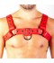 ARNES H BULLDOG NC
