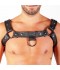 HARNESS FUSEL BLACK CHEST