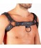 HARNESS FUSEL BLACK CHEST