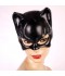 CATWOMAN DC