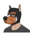 CAPUCHA PUPPY 2