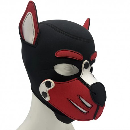 CAPUCHA PUPPY 2