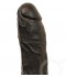 DICK RAMBONE
