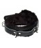 COLLAR BDSM SUABE