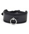 COLLAR CHAROL