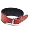 COLLAR CHAROL ROJO 